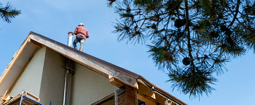 Birds Removal Contractors from Chimney in Marion, IL