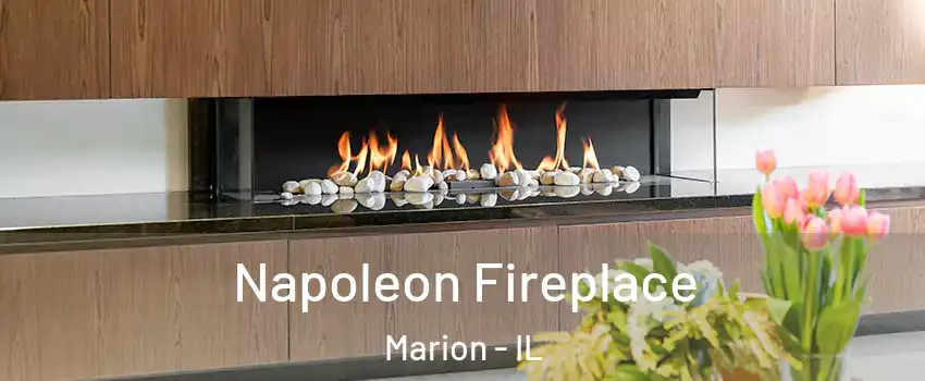  Napoleon Fireplace Marion - IL
